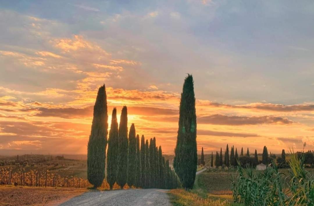 Appartamento Casa Guardiavigna In Chianti San Gusme Esterno foto